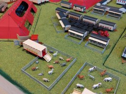 Ausstellung November 2024